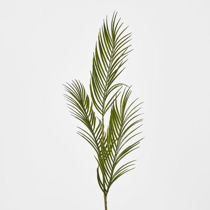 Green Arca Palm leaf spray x 3