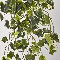 Green Ivy Spray with 140 Verigated Leaves