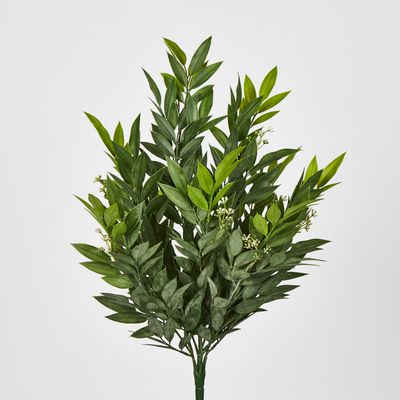 Green Ruscus Bush x9