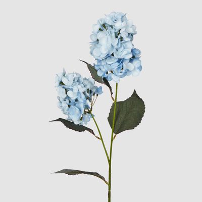 Light Blue Cone Hydrangea 93cm