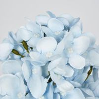 Light Blue Cone Hydrangea 60cm