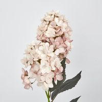 Light Pink Cone Hydrangea 93cm