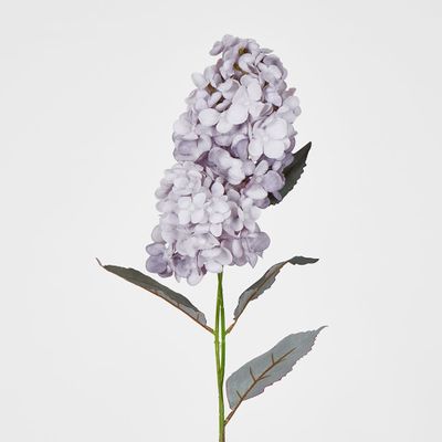 Lavender Cone Hydrangea 93cm