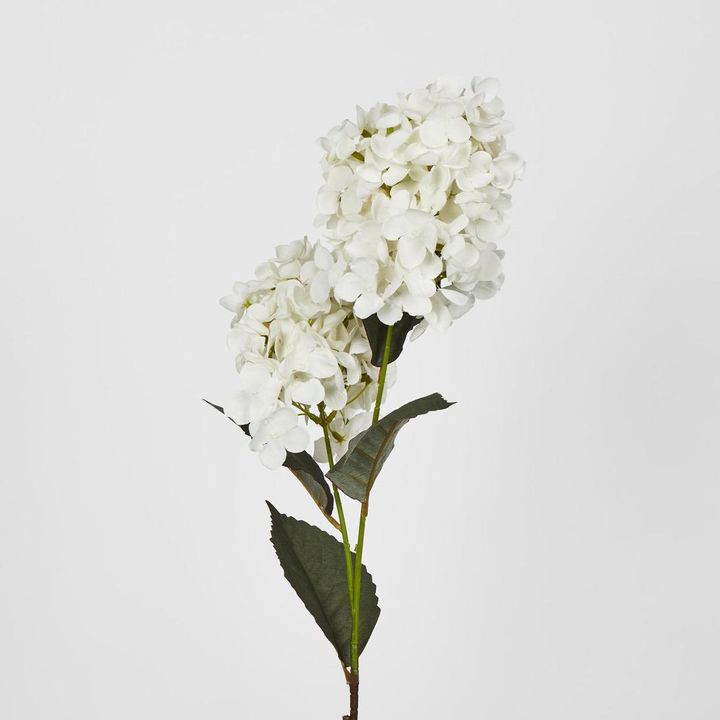 White Cone Hydrangea 93cm