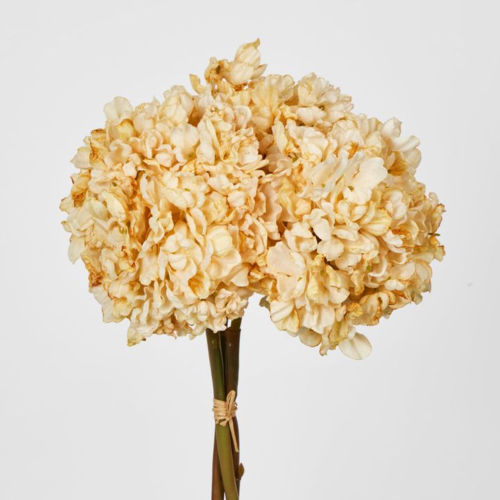 Dried Cream Hydrangea x 3 Bundle