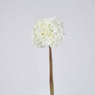 Dried White Hydrangea x 3 Bundle