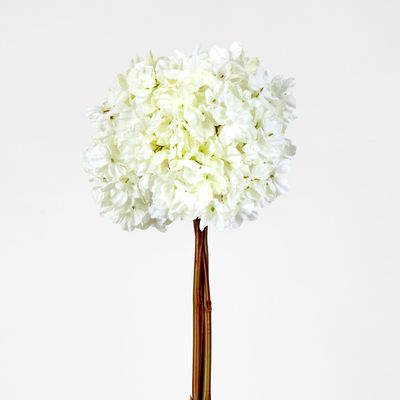 Dried White Hydrangea x 3 Bundle