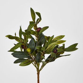 Olive Leaf Branch with Olives