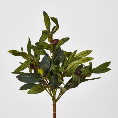 Olive Leaf Branch with Olives