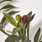 Olive Leaf Garland with Olives