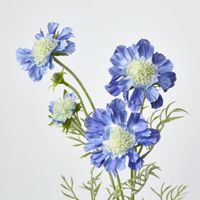 Scabiosa Spray with Buds Dark Blue