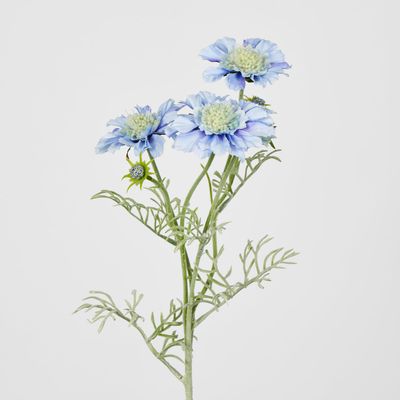 Light Blue Scabiosa 3 Flowers and 2 Buds