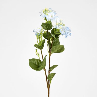 Blue Jasmine Spray