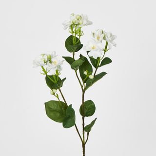 White Jasmine Spray