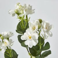 White Jasmine Spray