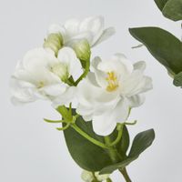 Jasmine Spray 60cm White