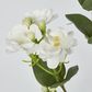 White Jasmine Spray