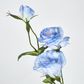 Lisianthus Spray