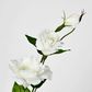 White Lisianthus Spray