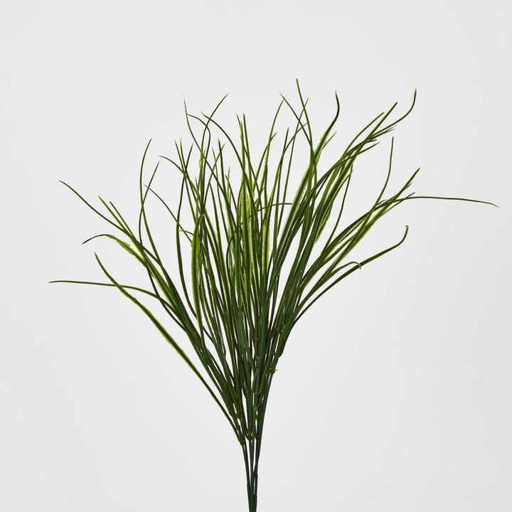 Green Grass Bush