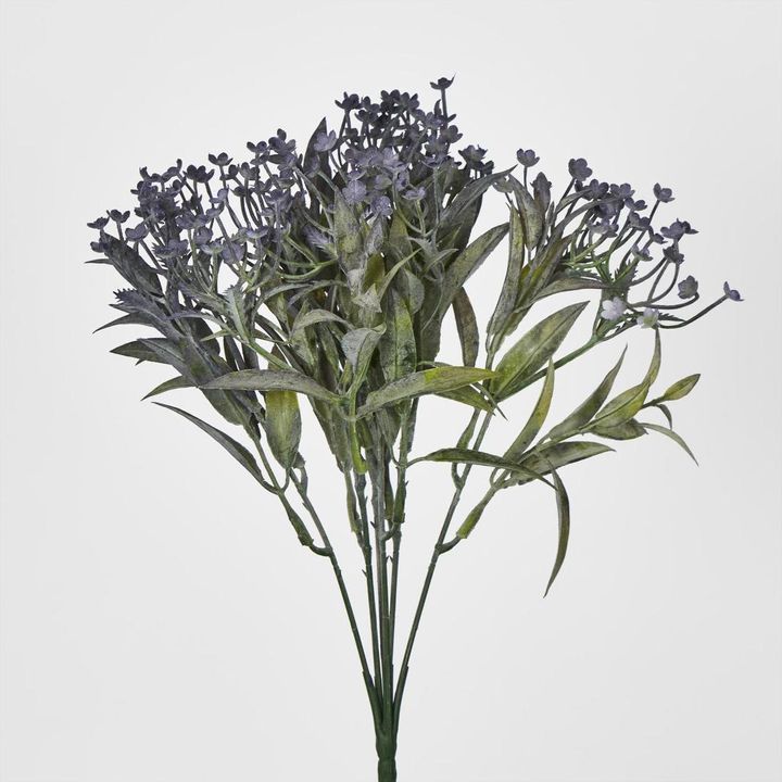 Daisy Bush Mini Purple