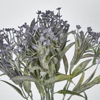 Daisy Bush Mini Purple