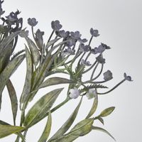 Daisy Bush Mini Purple