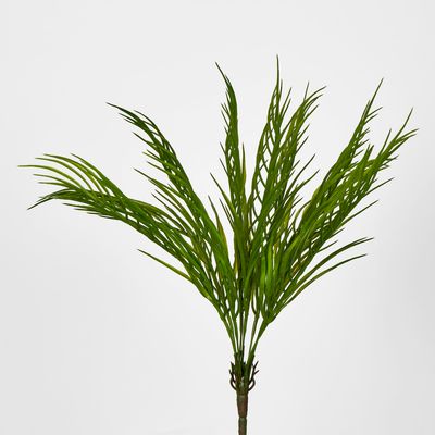 Green Fern Palm Bush