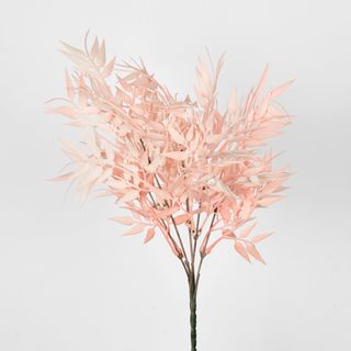 Bamboo Leaf Bush Blush Pink