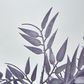 Bamboo Leaf Bush Purple