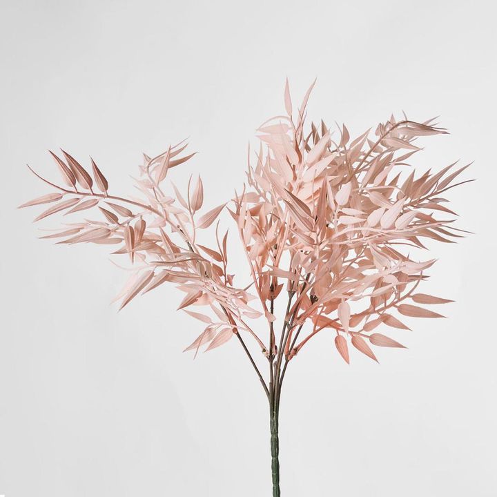 Bamboo Leaf Bush Light Orange