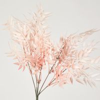 Bamboo Leaf Bush Light Orange