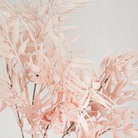 Bamboo Leaf Bush Light Orange