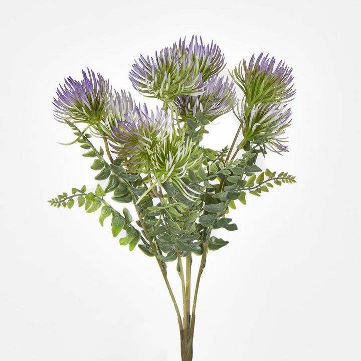 Thistle grass Bush x 5