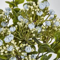 Flowering Bush Blue