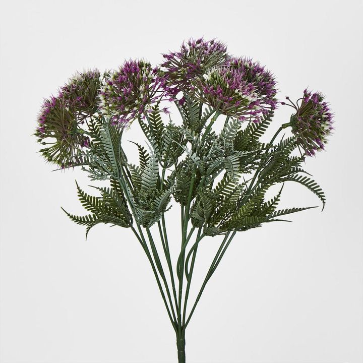 Wild Dandelion Bush Dark Pink