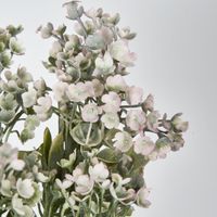 Mini Dandelion Bush Grey Green