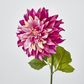 Magenta Pink Dahlia