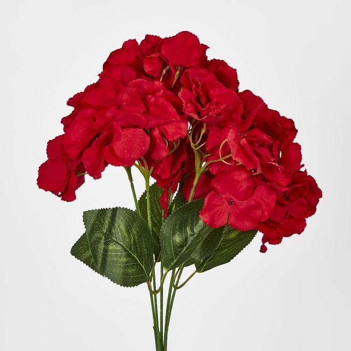 Red Hydrangea Bush x 5