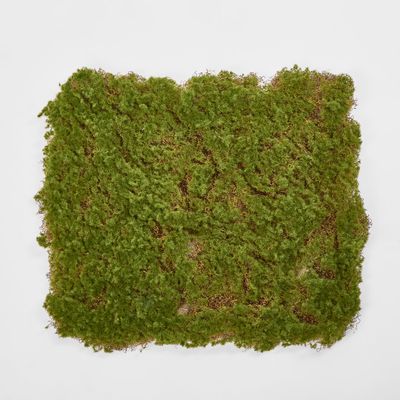 Moss Mat 50*50cm