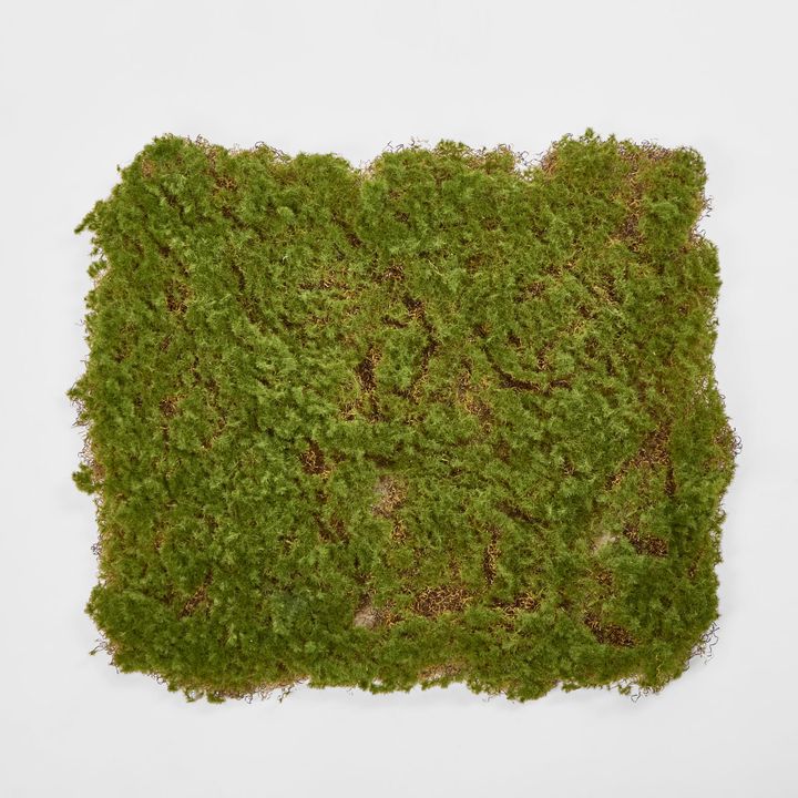 Moss Mat 50*50cm