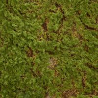 Moss Mat 50*50cm