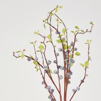 Gumnut Spray with Shoots