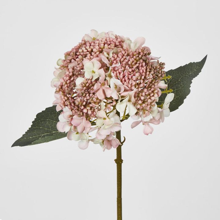 Light Dusty Pink lace cap Short Stem Hydrangea