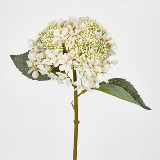 White Short Stem Hydrangea