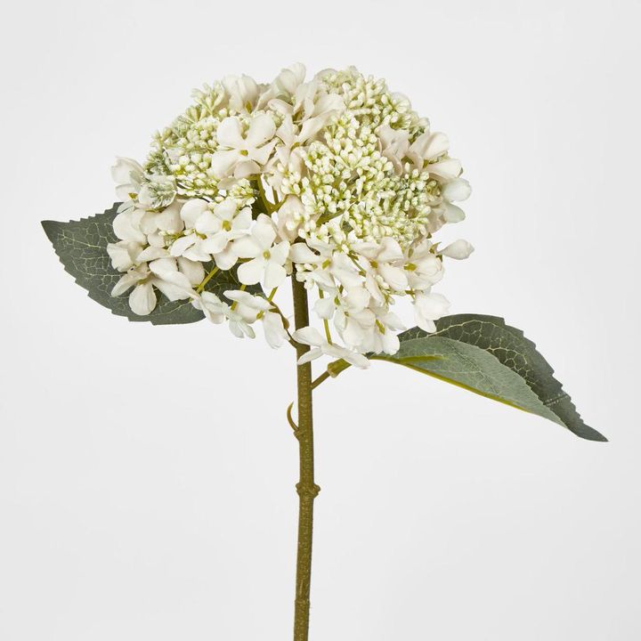 White Short lace cap Stem Hydrangea