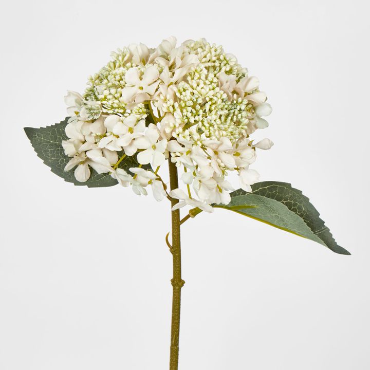 White Short Stem Hydrangea