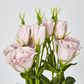 Light Pink Lisianthus bundle by 5 Flower and Bud