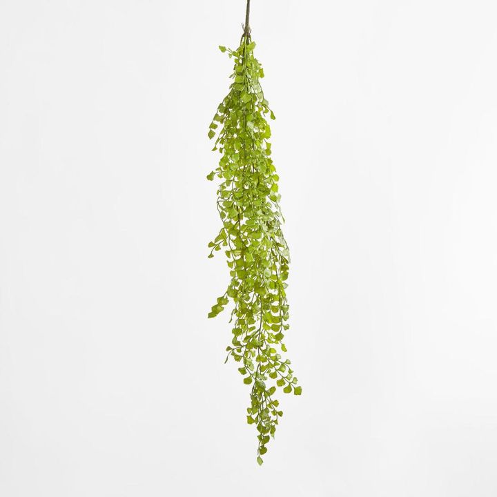 Button Hanging Fern