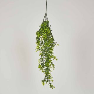 Hanging Greenery